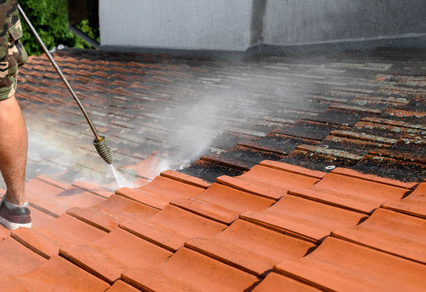 Best Power Washing Near Me  in Fort Polk North, LA
