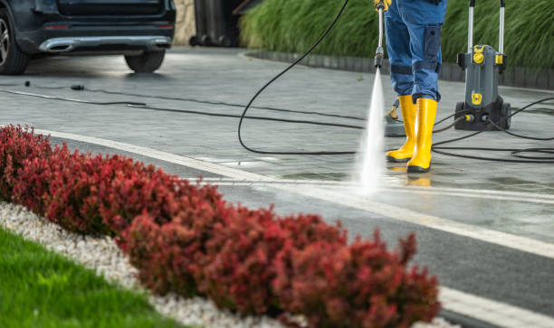 Best Pressure Washing Company Near Me  in Fort Polk North, LA